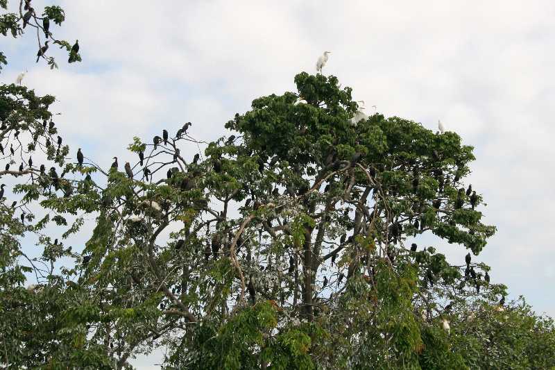 Mexico & Guatemala 2010 - 0924